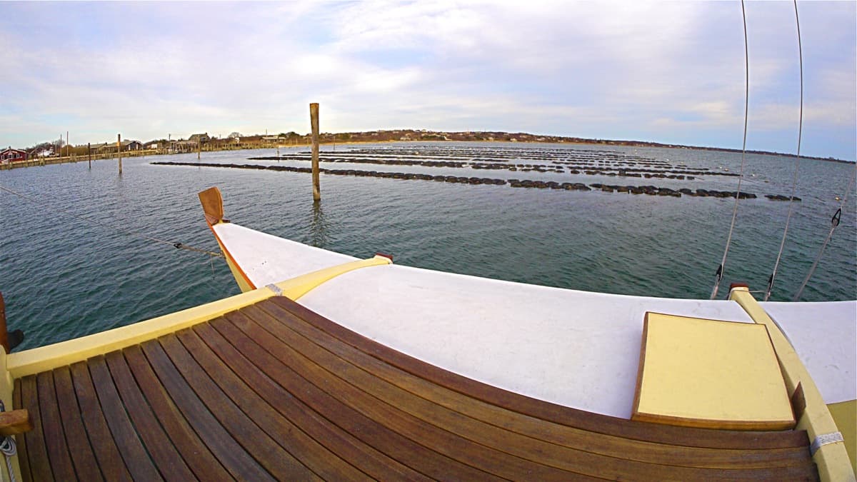 The oyster beds at the Montauk Shellfish Company, seen from the deck of the charter sailing catamaran MON TIKI, March 2013, Montauk NY, photo by Sailing Montauk